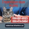Стеpилизация koшек на дому - 950 грн. Харьков