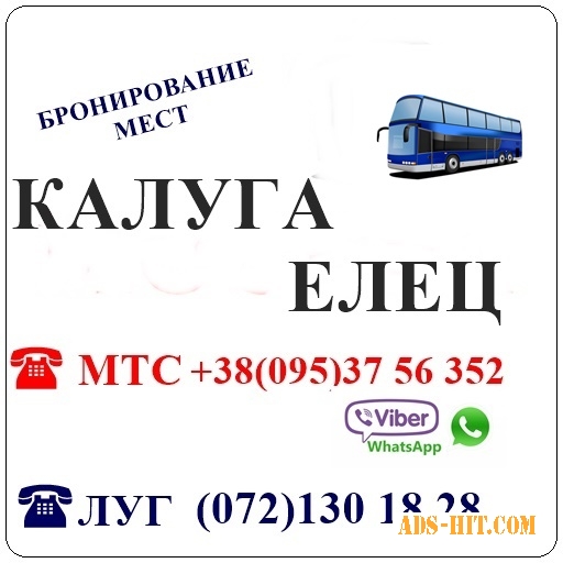 Автобус Стаханов - Алчевск - Луганск - Елец - Калуга и обратно.