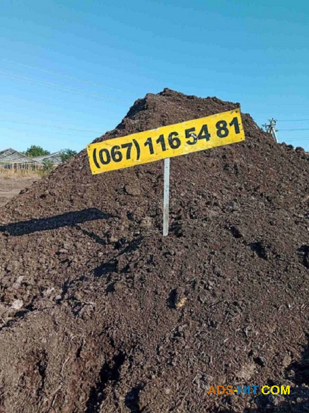 Пропоную сипець Одеса та область.