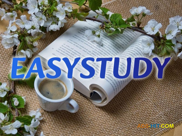 Замовити практичну частину магістерської роботи в Україні