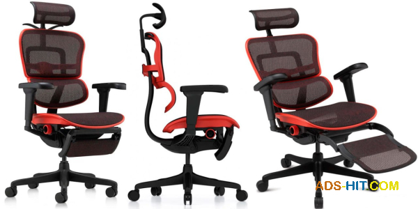 Великолепное кресло Ergohuman Ultra X9 Gaming Legrest Equator