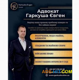 Юридична допомога у сімейних, цивільних та військових справах.