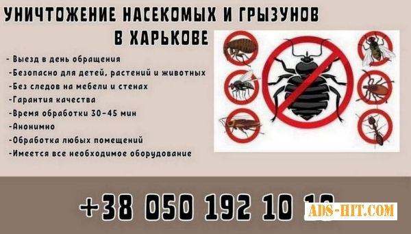 Дезинфекция от тараканов в Харькове.
