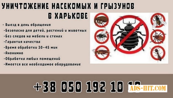 Услуги по дезинфекции от грызунов Харьков.