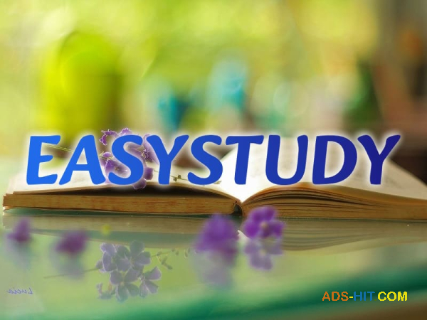 Замовити розробку стартапу до ВКР в Україні