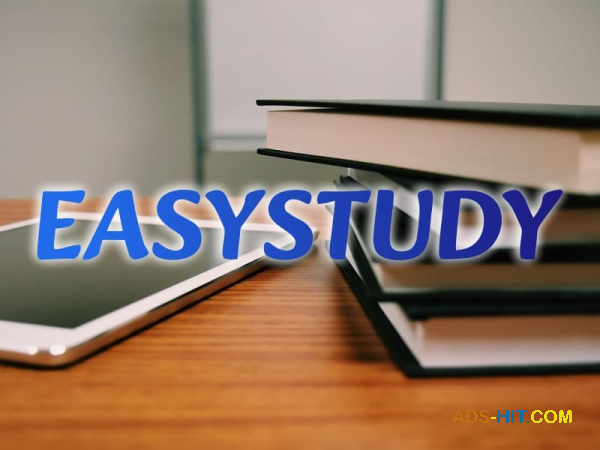 Замовити розробку стартапу до магістерської роботи в Україні