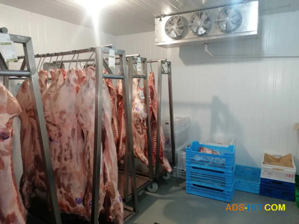 Морозильна камера - Шокова заморозка ковбас,  м'яса,  сирів ( Під ключ)