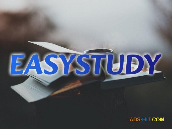 Замовити розробку стартап-проєкту до бакалаврської роботи в Україні