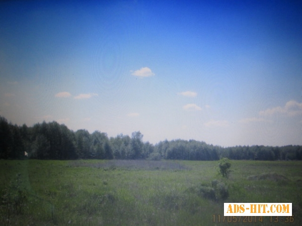 Зем. участок ОСГ 6, 5 га (75 км. от Киева) .