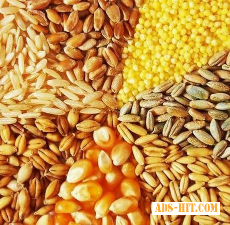 Продажа зерновых: кукуруза, ячмень, пшеница.