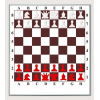 Шахматы настенные, демонстрационная доска «шахматы / шашки», производство Украина.