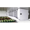 Guntner Agri-Cooler — воздухоохладитель для сельскохозяйственной продукции