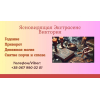 Ясновидящая Киев.  Приворот Киев.  Снятие порчи Киев.