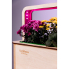 EcoBloom Smart Garden Розумний сад вдома