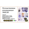 Консультация ясновидящей-таролога Краков.