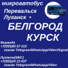 Ежедневно микроавтобус Перевальск - Луганск - Новый Оскол - Белгород - Курск. Т