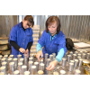 Рабочие на завод по изготовлению свечей в Польшу
