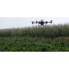 Обприскування кукурудзи дронами - послуги агрокоптера