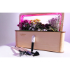 EcoBloom Smart Garden Розумний сад вдома