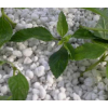 Агроперлит (Крупный Перлит для растений добавка в почву)