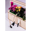 EcoBloom Smart Garden Розумний сад вдома