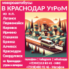 Микроавтобусы ЛНР - Краснодар -  ЛНР утром.