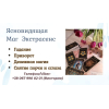 Ясновидящая в Одессе.  Гадание,  приворот,  снятие порчи.