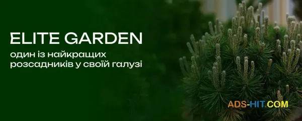 Саджанці хвойних дерев та квітів