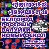 Из Луганска, Краснодона в Белгород, Нов. Оскол, Россошь, Валуйки. Пассажирские перевозки.