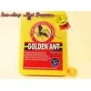 Золотой Муравей быстро и эффективно увеличивает мужскую потенцию