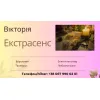 Ясновидиця в Ужгороді. Ворожіння Ужгород.